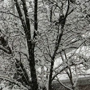 Meet your Posher, Mine